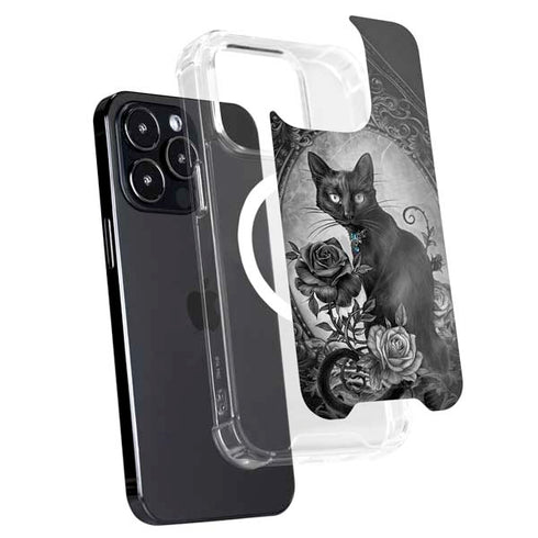 Alchemy Paracelsus - The Philosophers Familiar iPhone 16 Pro MagSafe Case
